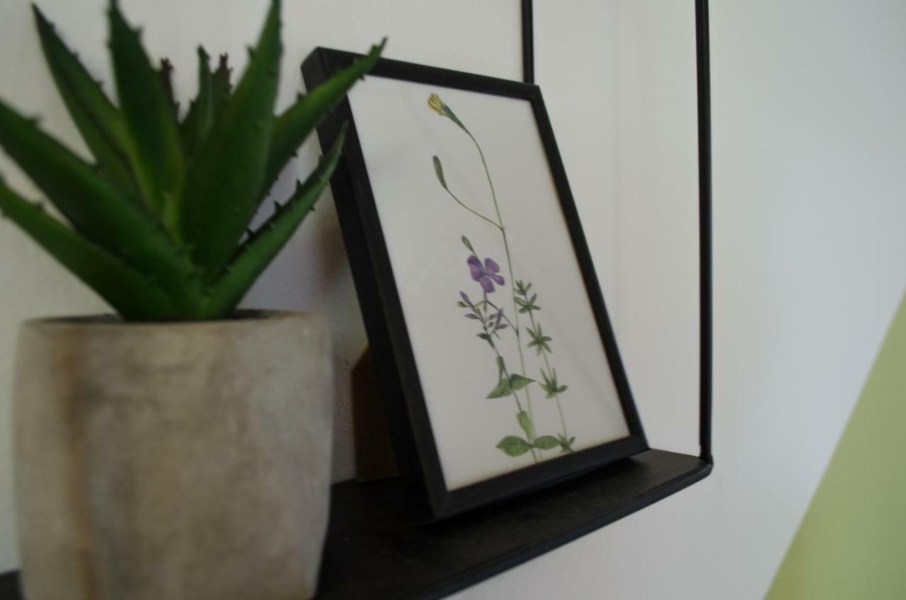 Oleander & Affittacamere
