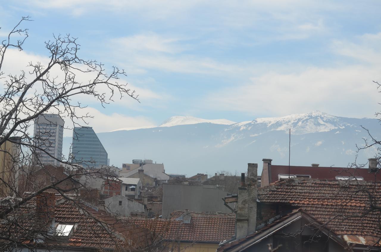 Zokum Sofia